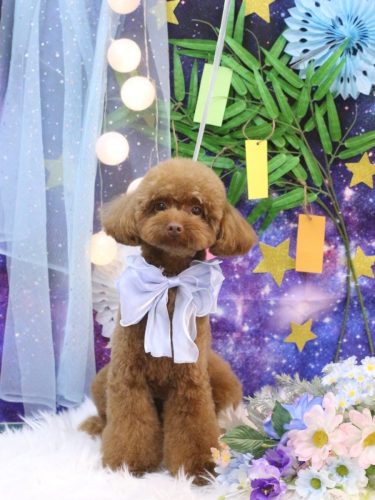 20250705くるるくん